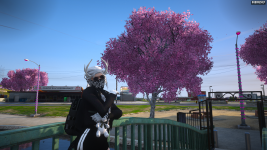 1717090376568.png 1717090376568.png